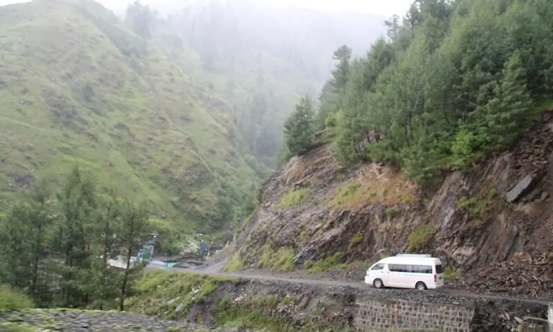 PHC gives KP govt three months to restore Galiyat forest boundaries