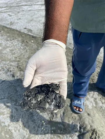 (CLOCKWISE) Workers inspect patches of spilled oil washed ashore along the coast of Gwadar; a cleanup worker holds a thick clump of toxic residue while a sea turtle lies on a beach contaminated with crude oil.—Dawn