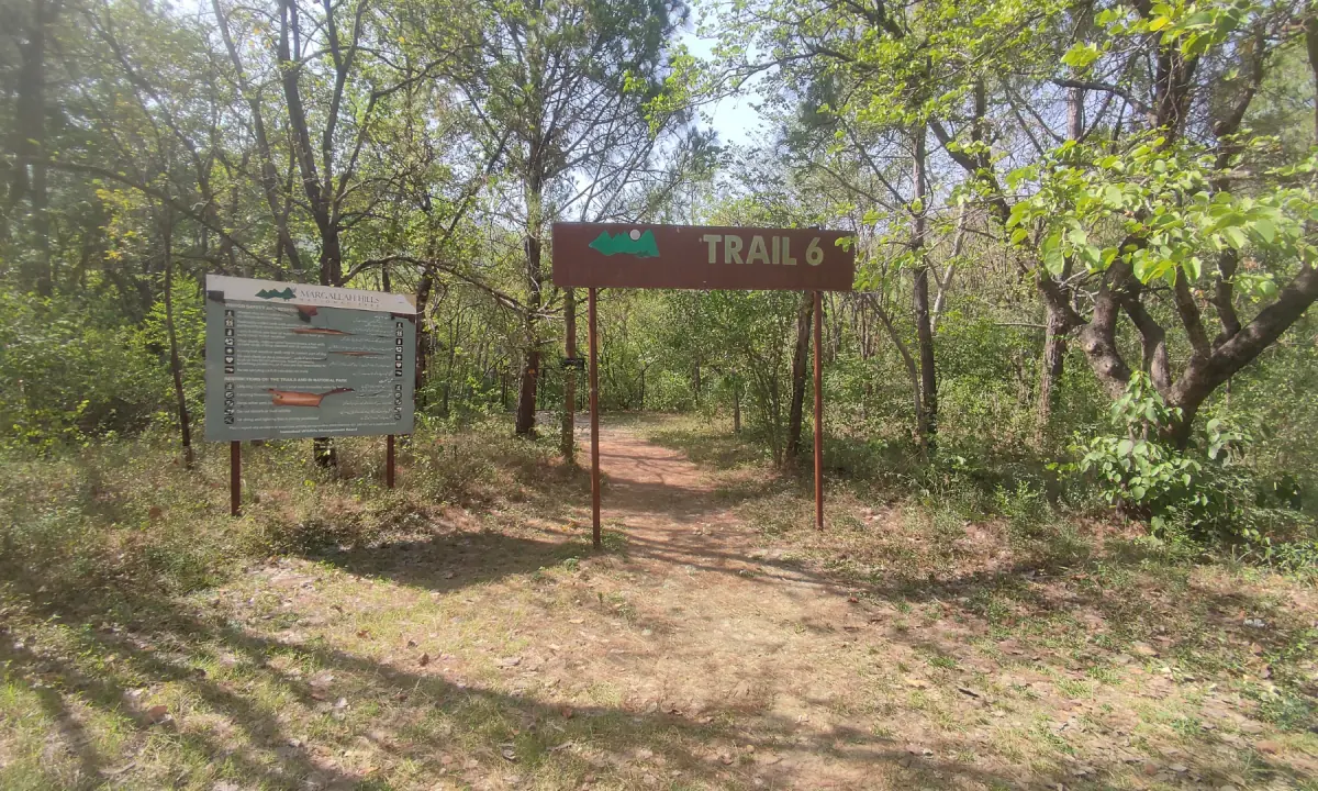 The entrance to the old Trail 6 which is now the Leopard Preservation Zone. A fence can be seen in the back. — Photo via author.
