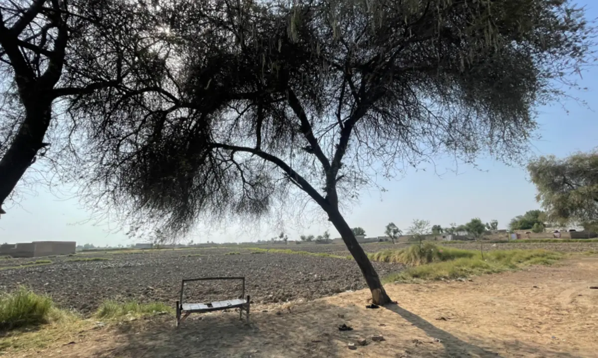 51 degrees and counting: Surviving heat in Jacobabad.