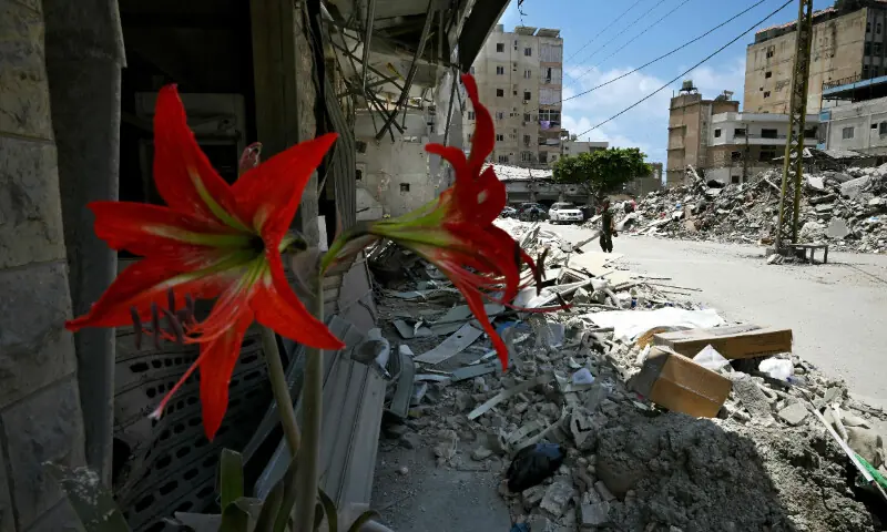  A potted plant flowers outside a damaged building hit in earlier Israeli military strikes on a neighbourhood in the southern Lebanese coastal city of Tyre on June 23, 2026. &mdash; AFP 