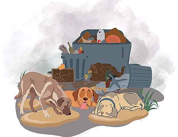  Illustration by Aamnah Arshad 