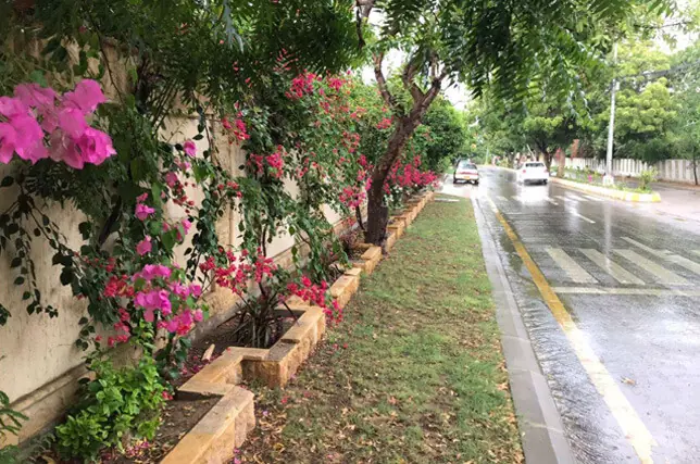  The residents of the MGB area, consisting of nearly 400 houses and six entry and exit points, have demonstrated how a community-driven initiative can help transform a locality | Jaleel Akhtar 