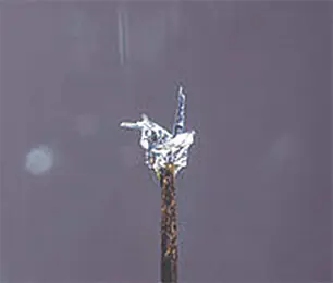AKiro’s 0.1 millimetres wide crane