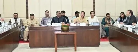 Senate panel calls for probe into foreign-funded power projects