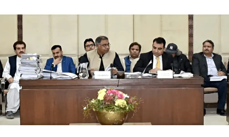 Senate panel calls for probe into foreign-funded power projects