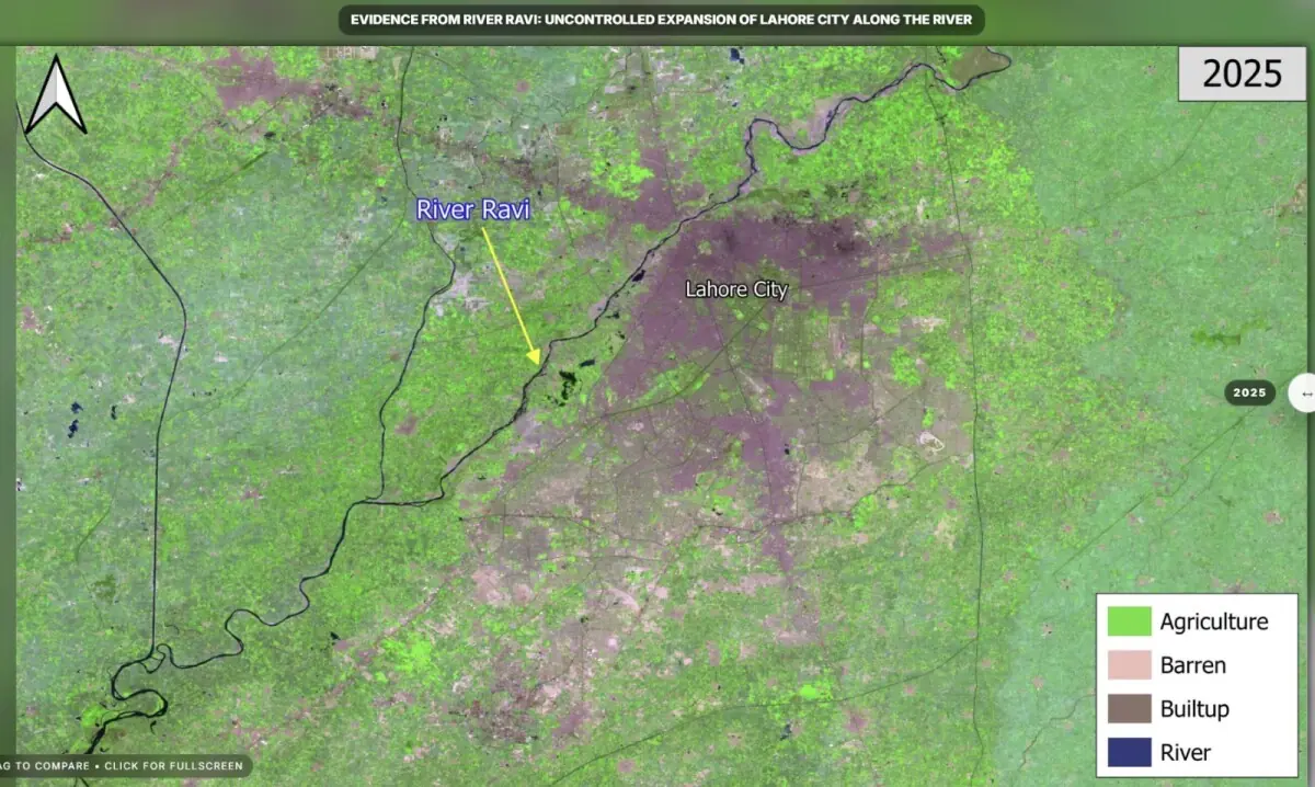  Satellite images from Suparco’s ‘Space4Climate’ portal show urban expansion (represented by brown patches) and the changes to Ravi’s floodplain in 2025. 
