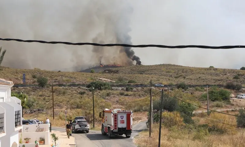 Spanish wildfire victims burned in cars as roads turned into death traps
