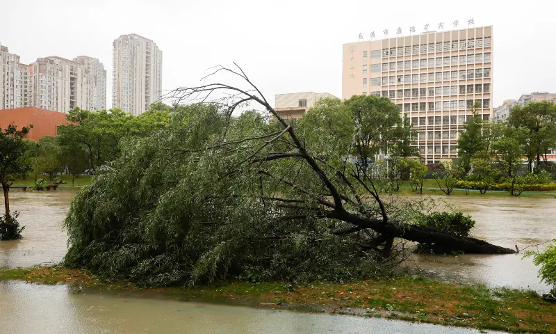 Typhoon Bavi Makes Landfall in Eastern China After Killing 18 in Philippines