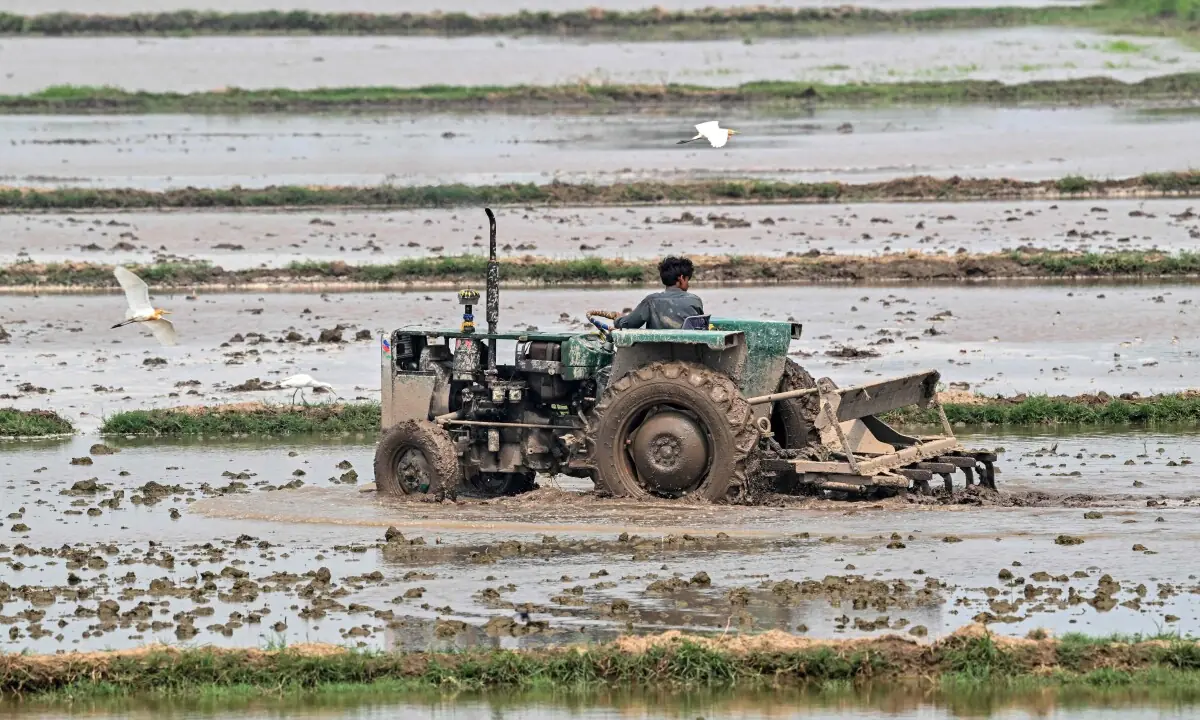 PRIME Minister Shehbaz Sharif’s assertion that agriculture and livestock hold the key to Pakistan’s quick economic…
