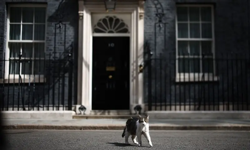 'Politicians come and go': Larry the cat welcomes 7th prime minister 'Politicians come and go': Larry the cat welcomes 7th prime minister
