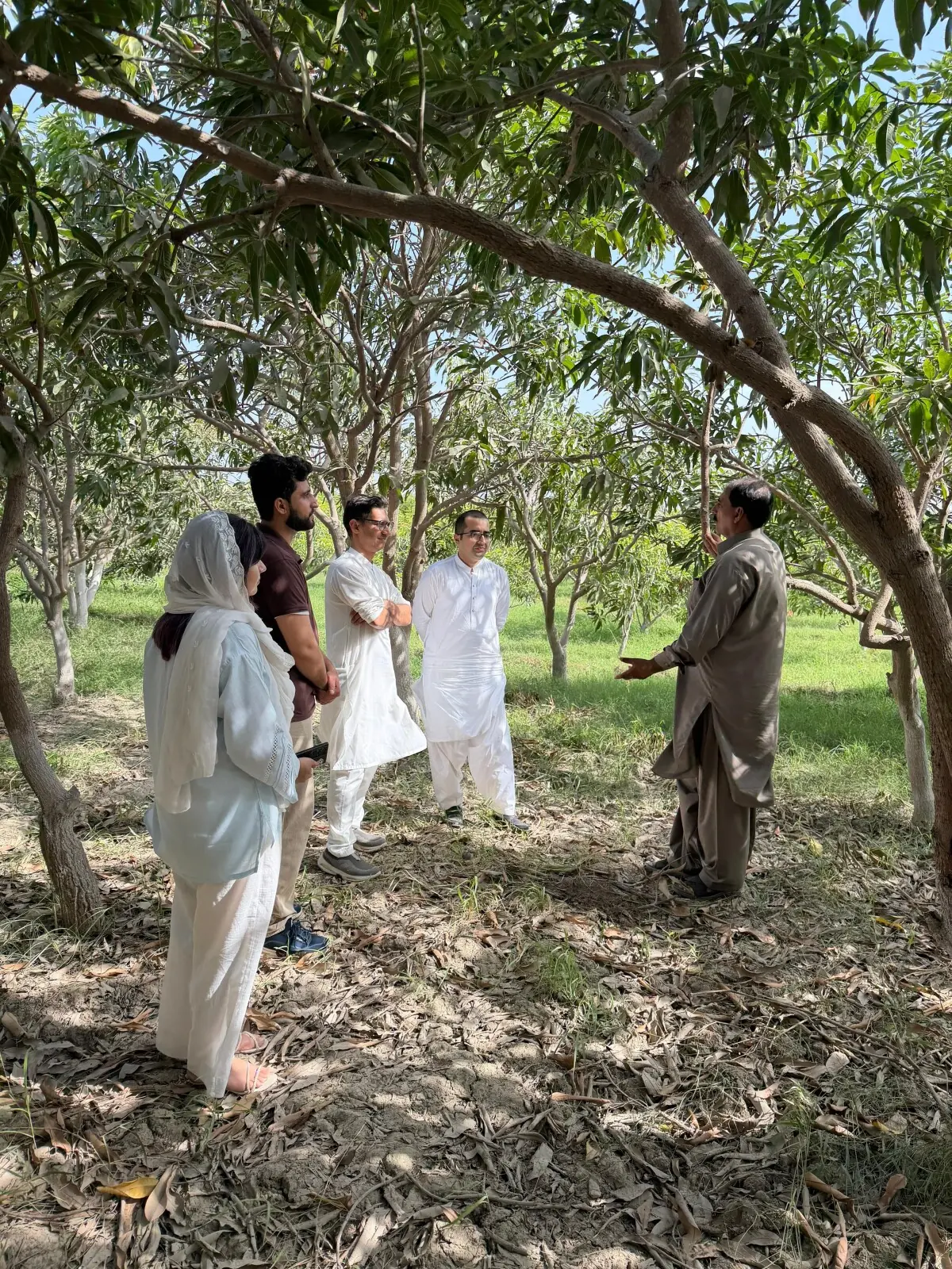 The Savak team in consultation with a local farmer in Mirpurkhas Sindh, discussing what agronomy support farmers need.