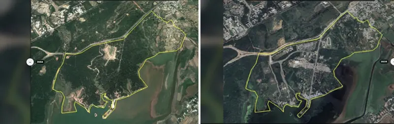 (Left to right) A 2004 satellite image of Rawal Lake and its surroundings shows dense tree cover, whereas a 2024 image reveals extensive forest cover loss over the same area.