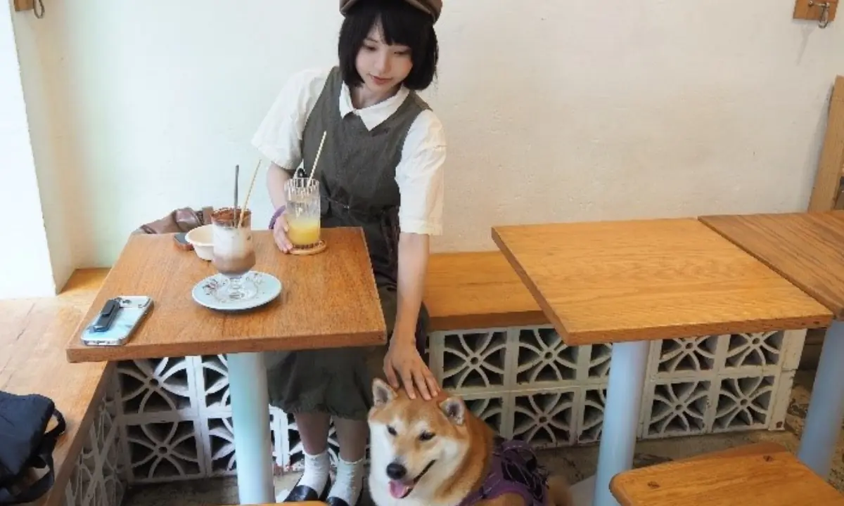 Furry friends welcome: Hong Kong is experimenting with dog-friendly dining