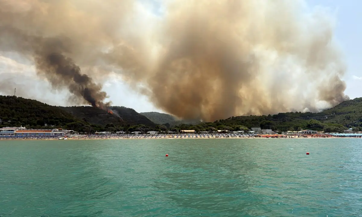 France, Spain race to contain 'monster' fires ahead of new heatwave