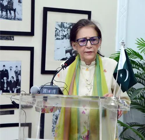 Ayesha Jalal speaks at the event.—Dawn