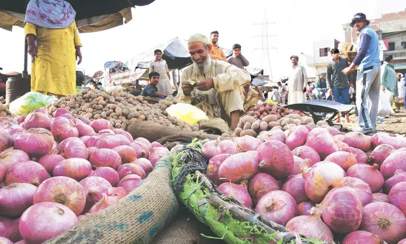 Sindh Farmers Turn Away From Onion Crops Amid Market Pressures