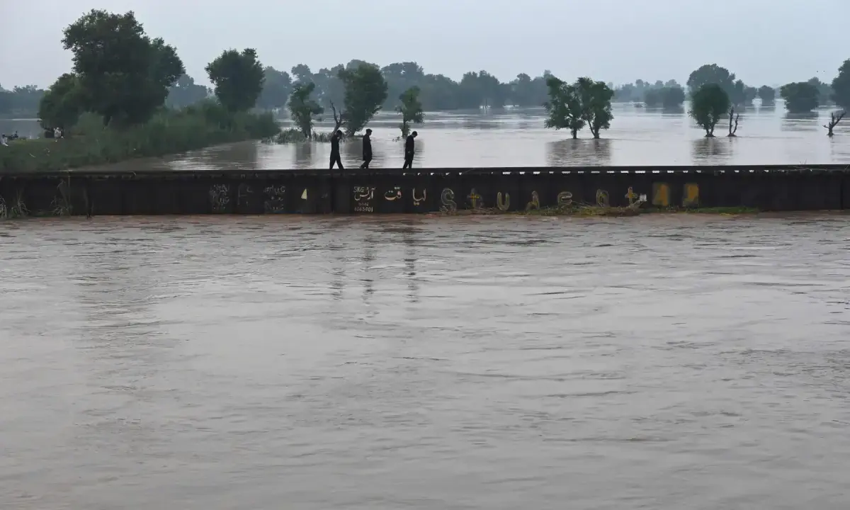 Chenab, Ravi nullahs may enter high flood category