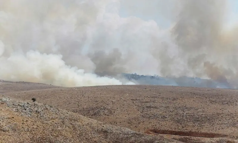 A photograph taken from the southern Lebanese village of Qabrikha shows smoke rising from burning fields in the village of Bani Hayyan, under the control of the Israeli military, about 10 kilometers from the Lebanon-Israel border on August 14, 2026. &mdash;AFP