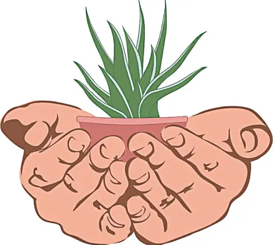 Agriculture: Making home vegetable gardening work