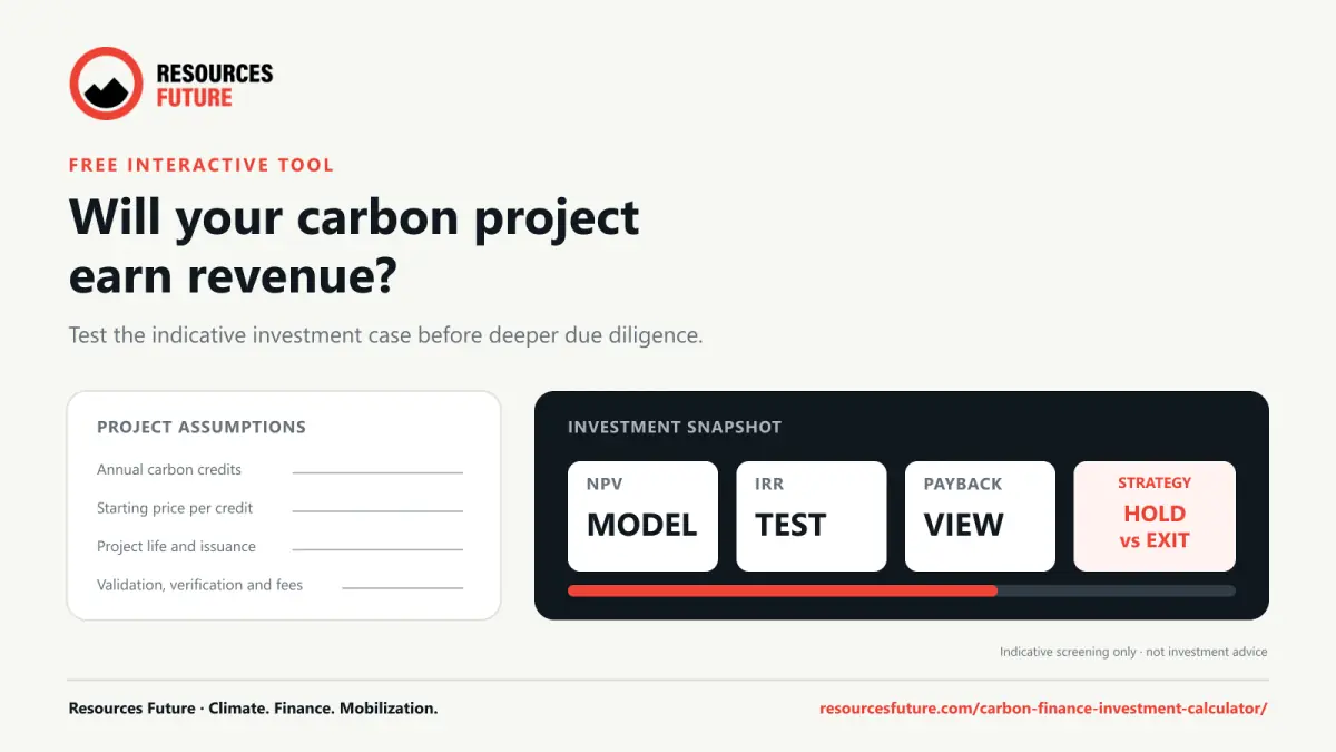 Figure 3: RF&rsquo;s free Carbon Credit Investment Screening Tool models indicative NPV, IRR, payback and hold-versus-exit strategies before deeper due diligence.