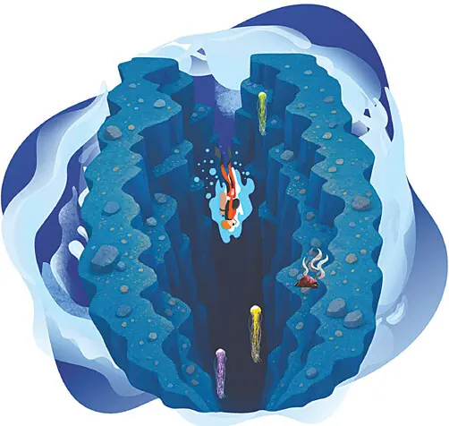   Illustration by Gazein Khan 
