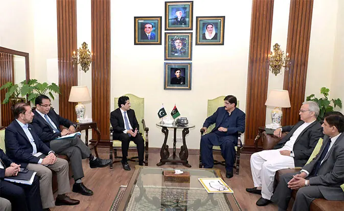 Sindh Chief Minister Murad Ali Shah meets Petroleum Minister Ali Pervaiz Malik.&mdash;APP