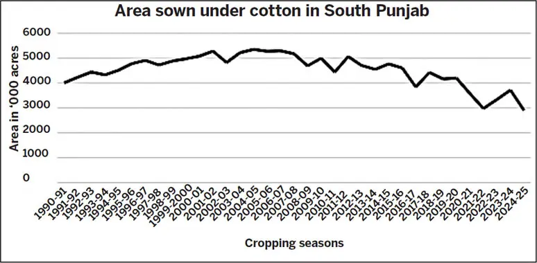 This graph, based on data sourced from the Punjab Agriculture Department’s Crop Reporting Service, shows the decline over the years in the area in South Punjab where cotton is sown | Courtesy the writer