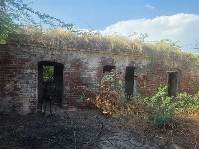 The residential quarters are almost completely engulfed in dense foliage and overgrown wild weeds.