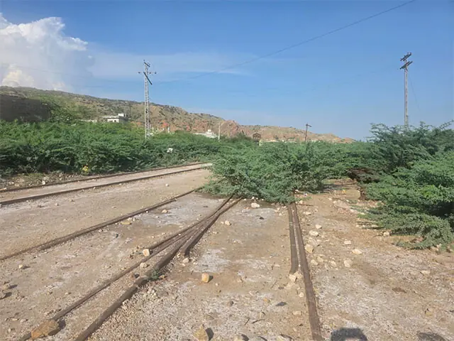 Wild trees have overgrown and engulfed the unused railway tracks at the station.