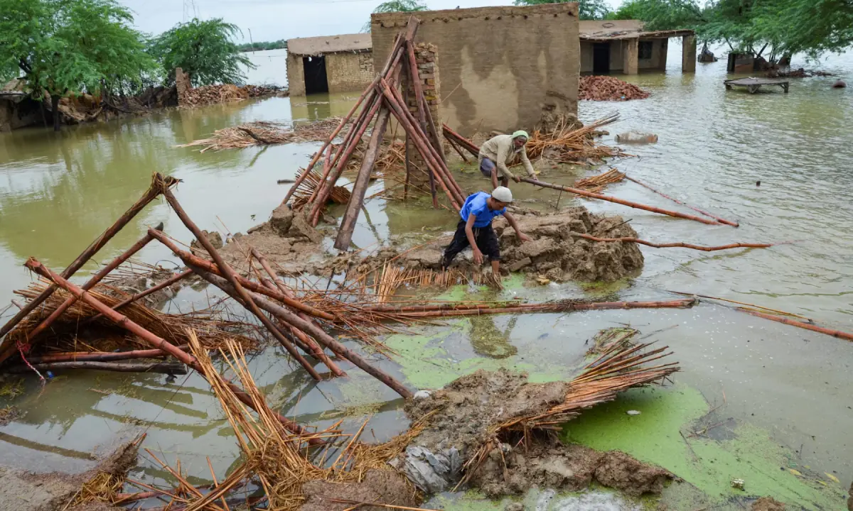People retrieve bamboos from a damaged house following rains and floods during the monsoon season in Dera Allah Yar, district Jafferabad, Balochistan, Pakistan, on August 25, 2022. — Reuters