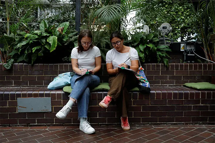  VISITORS draw the area as part of an approval process by Wayward Plants, a London-based plant rescue organisation working with a conservatory to distribute the plants.&mdash;Reuters   