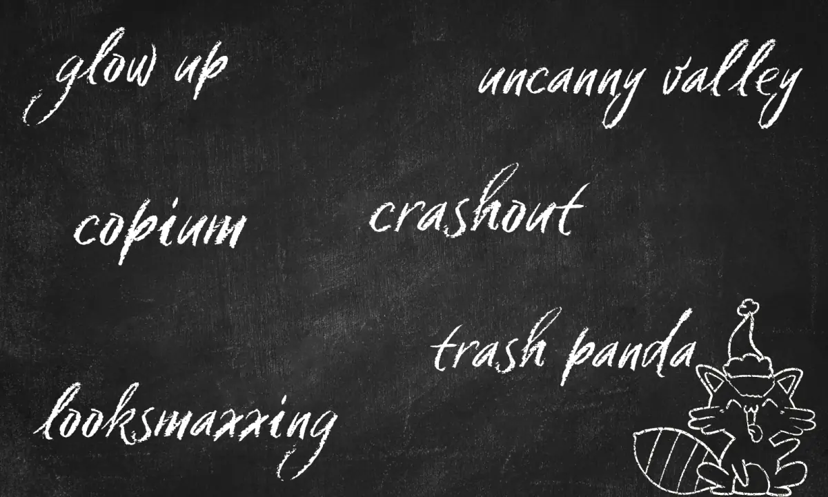 Merriam Webster just added 'trash pandas', 'cake pops' and 'Rickrolls' to its online dictionary