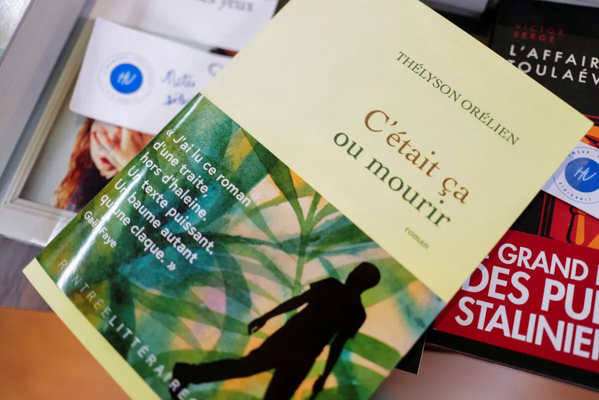 France's top literary prize drops best selling novel after claims it was written with AI