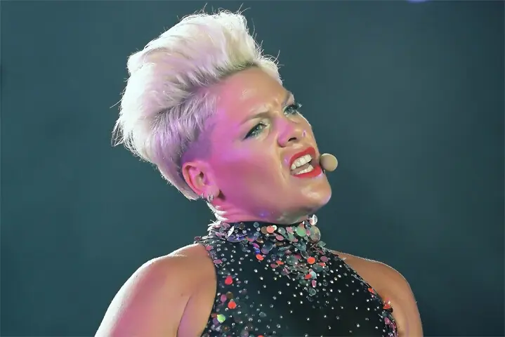  The has-been pop singer Pink | Shutterstock 