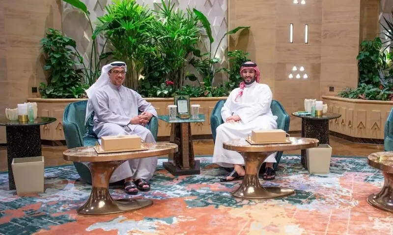 Saudi crown prince, UAE vice president meet in Riyadh: official media