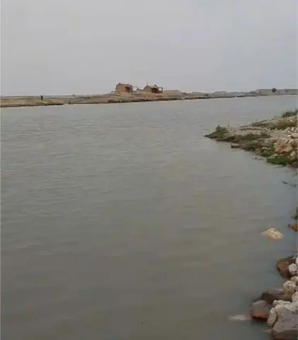 A view of Manchar Lake.—Dawn