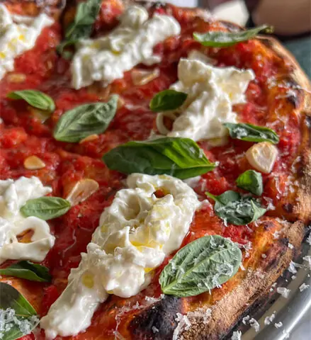   The &lsquo;Stella Pizza&rsquo; at Venti is a simple tomato pie, topped with fried garlic and burrata  
