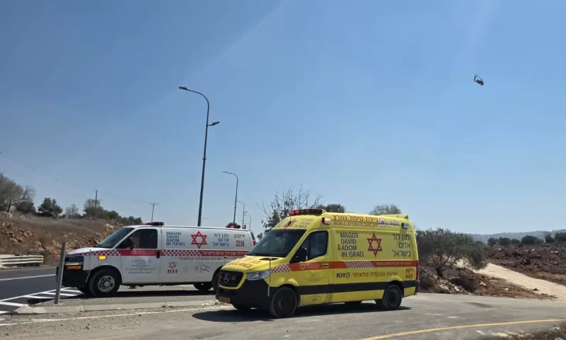 20 wounded as explosion hits Israel school expedition near Lebanon border: officials