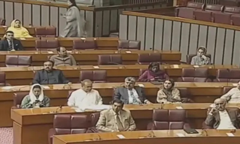 National Assembly passes resolution endorsing Centre's imposition of emergency in KP