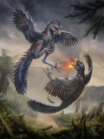 A RECONSTRUCTION of a crow-sized Jurassic bird whose fossilised remains were discovered in China’s Fujian province.—Reuters