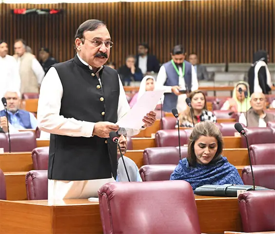 Tariq Fazal Chaudhry expresses his views during the NA session. —Facebook/NationalAssemblyOfPakistan