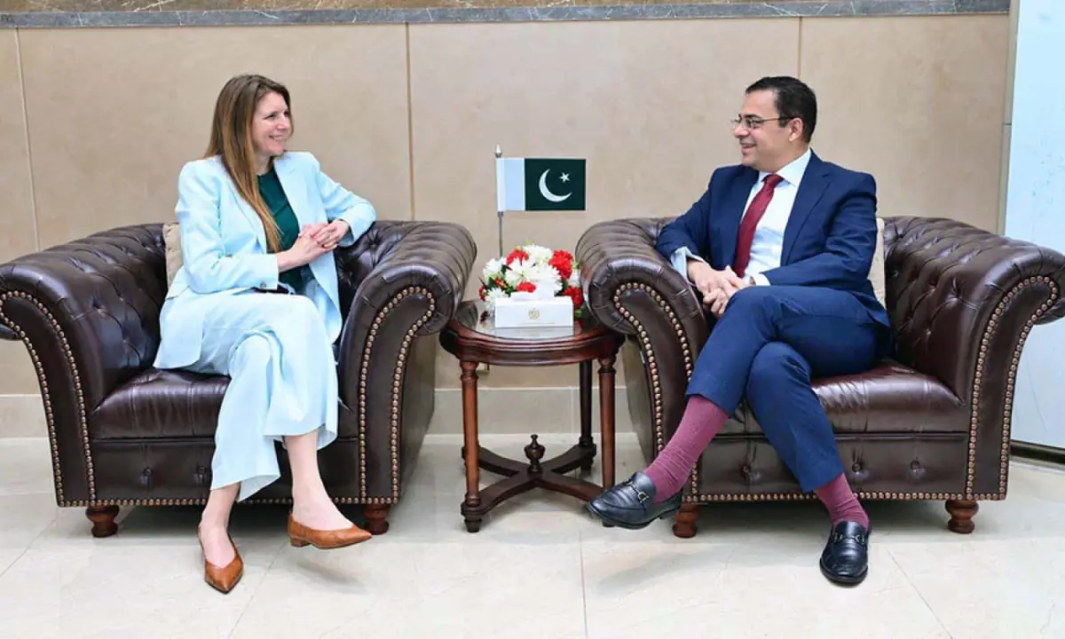  British High Commissioner to Pakistan Jane Marriott meets Federal Minister for Economic Affairs Ahad Cheema in Islamabad on Wednesday. &mdash; APP 