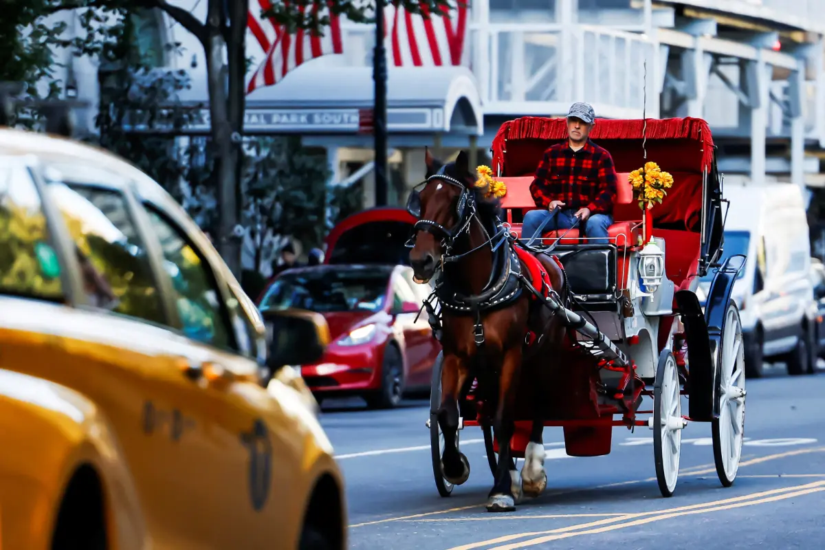 New York’s city council votes to ban Central Park horse carriages