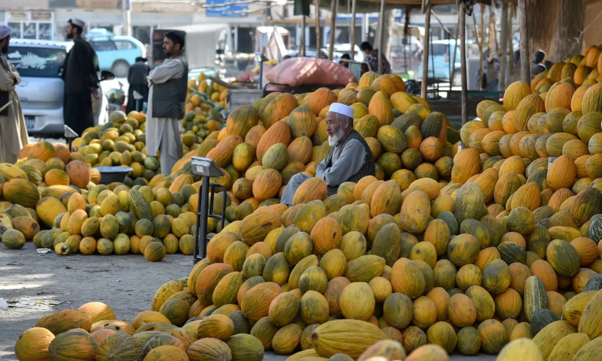 This photograph taken on October 20, 2026 shows a melon vendor waiting for customers at a roadside market in Sheberghan in Afghanistan’s Jawzjan province. — AFP
