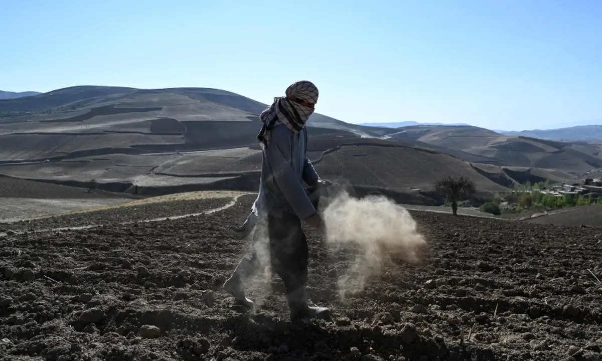 This photograph taken on October 18, 2026 shows an Afghan farmer sowing poppy seeds in a field in Badakhshan province. — AFP