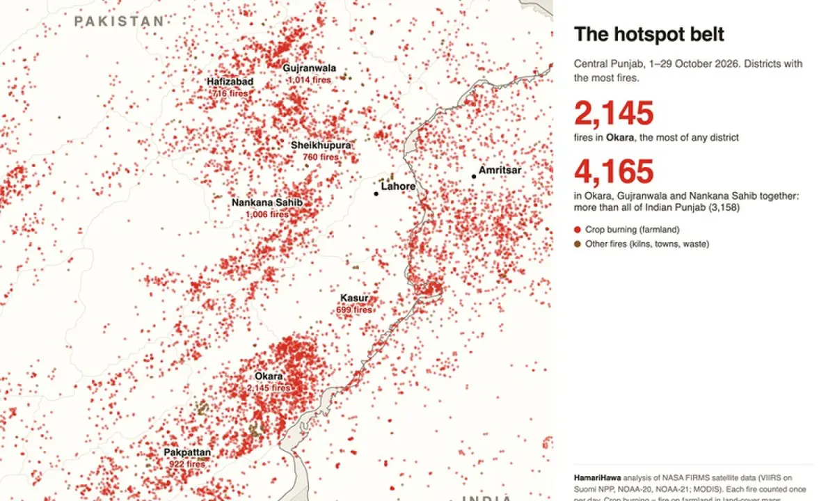 Graphic showing concentration of fires detected during the month of October — HamariHawa