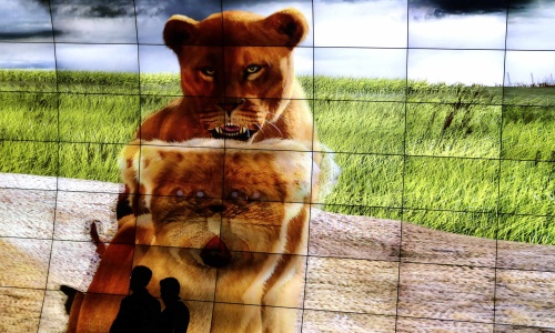 Display technology at IFA 2013