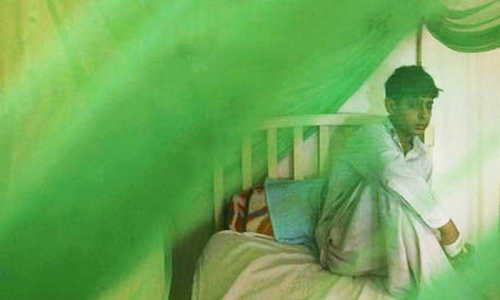 WHO warns against use of substandard insecticides