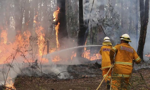 Wildfires linked to global warming: UN climate chief